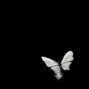 岁月相伴的温柔港湾