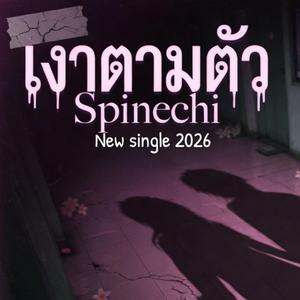 เงาตามตัว