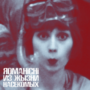 Социальная иерархия муравьев (Live)