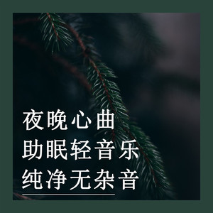 安抚游离的思绪 (八音盒)
