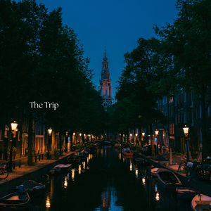 The Trip