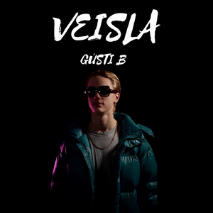 VEISLA