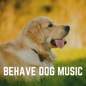 Home on Halloween Calming Music for Dogs, Pt. 17