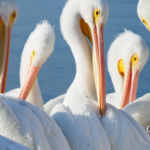 当下的力量 伴奏