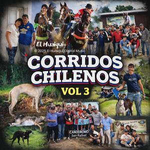 AMBICIOSO (CORRAL BAQUEDANO)