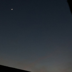 Katakanlah Sejujurnya