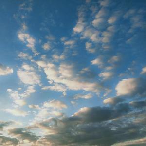 别再找我的麻烦