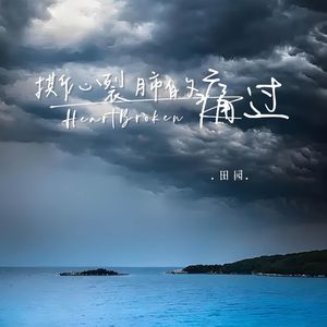 撕心裂肺的痛过（空灵版）