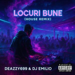 LocuriBuneRemix (Radio Edit)