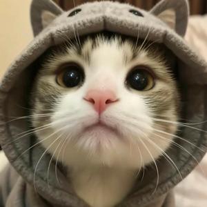 开往春天的地铁DJ