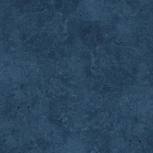 请在哔声后留言(Bonus Track)_北极光上的象