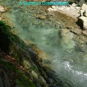 A Summer Downstream