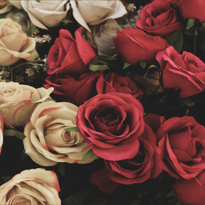 Qandi Kochi (Pashto)