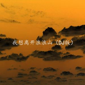 我落泪情绪零碎（DJ版）