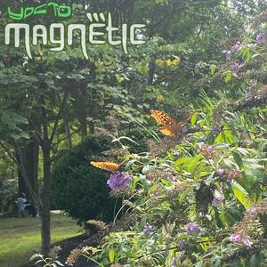 72F (feat. OnlyALilibet)