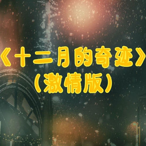 十二月的奇迹