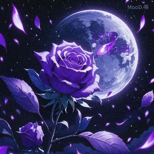 玫瑰夜月