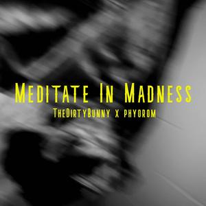 Meditate in Madness (feat. Phyorom)