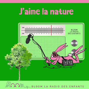 Une journée au bois avec rufus le hibou