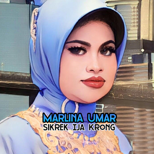 Sikrek Ija Krong (MIX DUT)