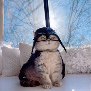 แผ่นดินไหว