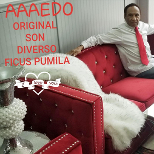 Aaaedo: Ficus Pumila (Balada Salsa Version)
