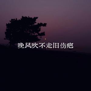 晚风吹不走旧伤疤