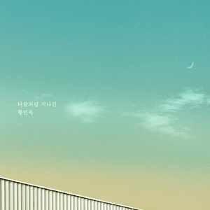 바람처럼 지나간