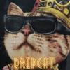 Finn Dahlen - Dripcat (feat. Noah Thomas) (Remastered)