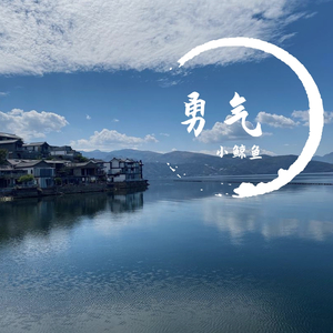 勇气（Cover 梁静茹）（翻自 梁静茹）