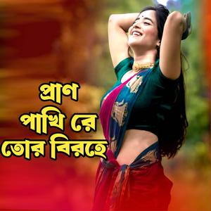 প্রাণ পাখি রে তোর বিরহে । Pran Pakhi Re Tor Birohe । Shamiul Aziz