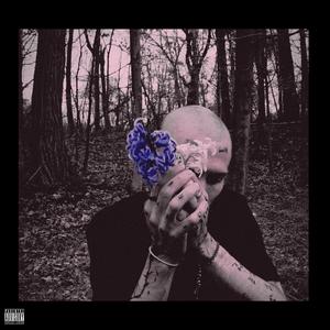 Mother/Father (feat. Bvdlvd)