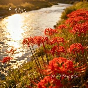 忘川河彼岸花 DJ版