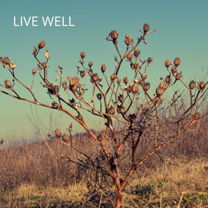 Live Well