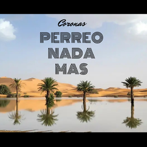 Perreo nada mas
