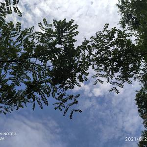 Engagement（prod by CALMLY BEATS）