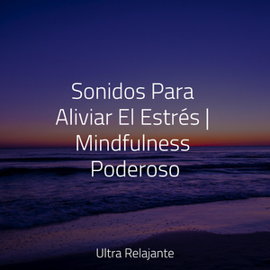 Interpretaciones Del Flujo De Agua