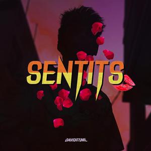Sentits