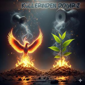 Küllerinden Doğarız