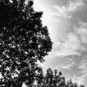 一人ではどうだろう