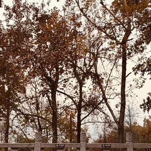 不如不见面Remix