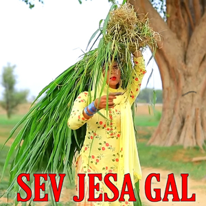 Sev Jesa Gal