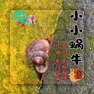 小小蜗牛