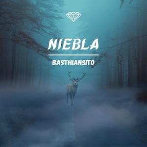 Niebla