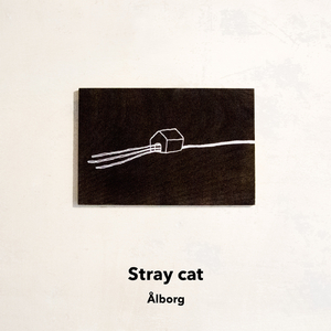 Stray cat
