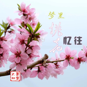 梦里桃花忆往 (琵琶版)