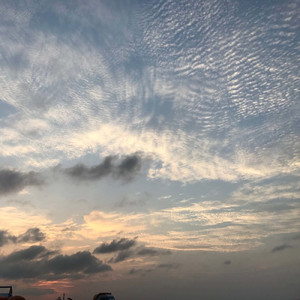 明後日また君と