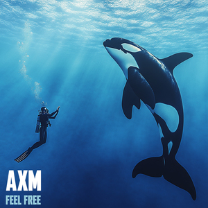 Feel Free