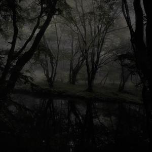 do you care at all? (feat. ilyzayy & killing scene)