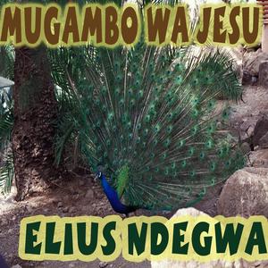 Mugambo